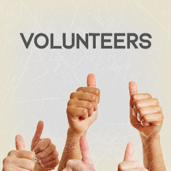 Become a volunteer