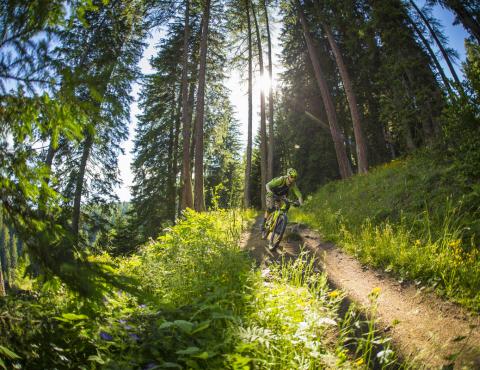 Val_di_Sole_Ph_Matteo_Cappe_193