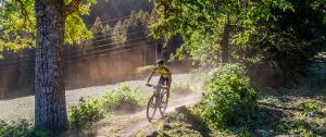 VAL DI SOLE MARATHON 2017_PH Riccardo Meneghini (35)