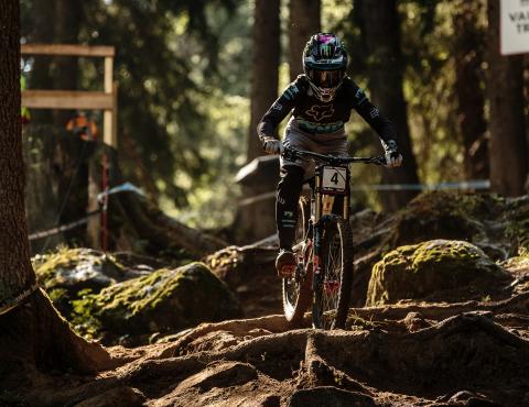 loris_vergier