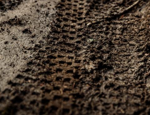Mud
