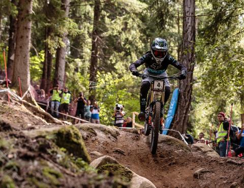 Loris_Vergier