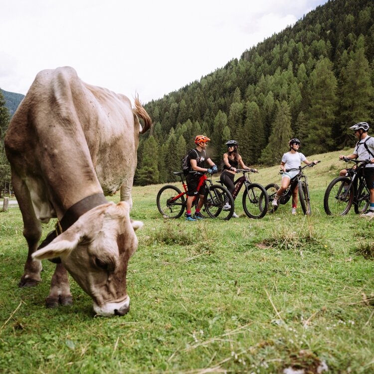 Anello Lago dei Caprioli