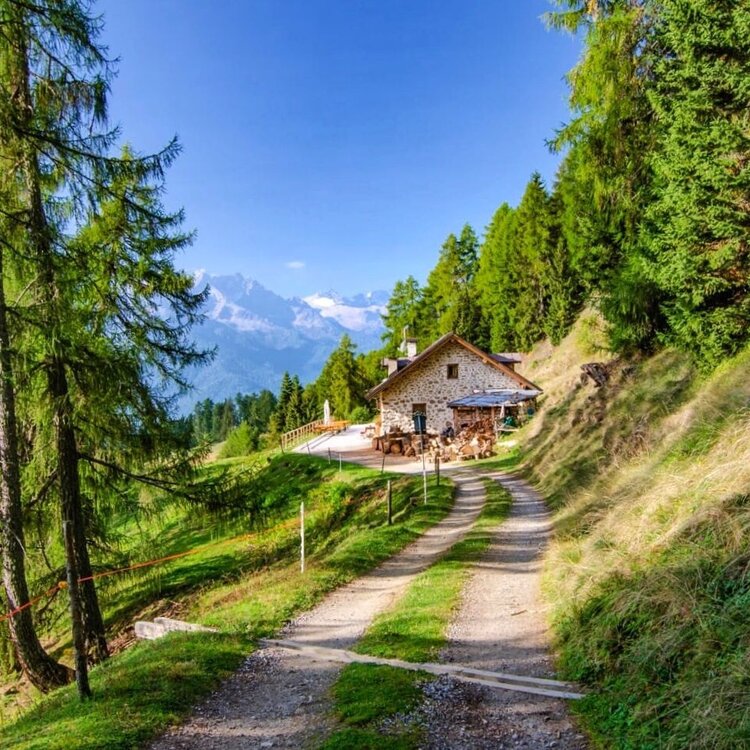 Anello Malga Stabli - Malga Bronzolo