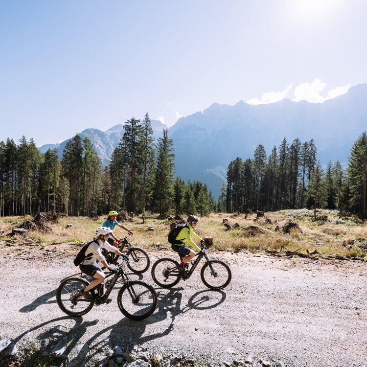 Epic Trail Alpeggi del Brenta N° 1314