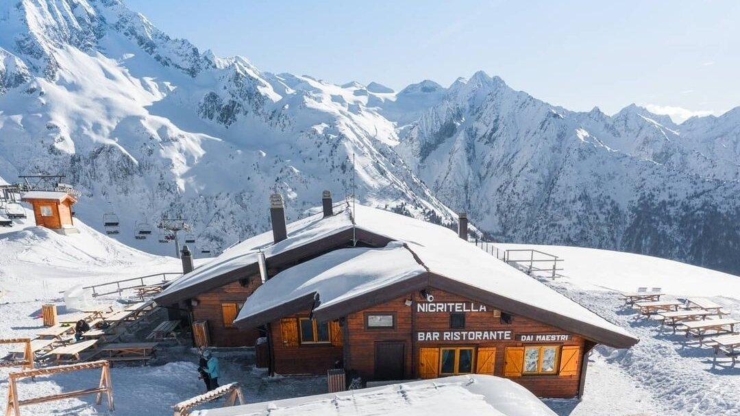 Chalet Nigritella