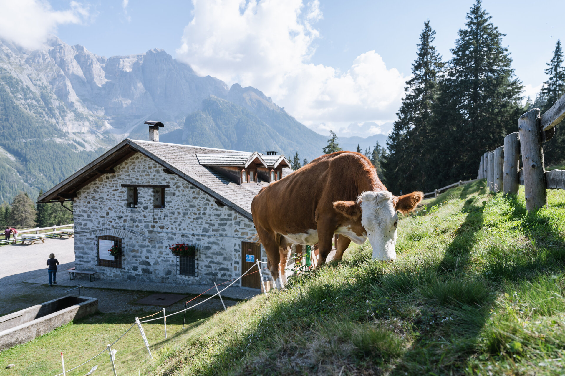 Malga Dimaro