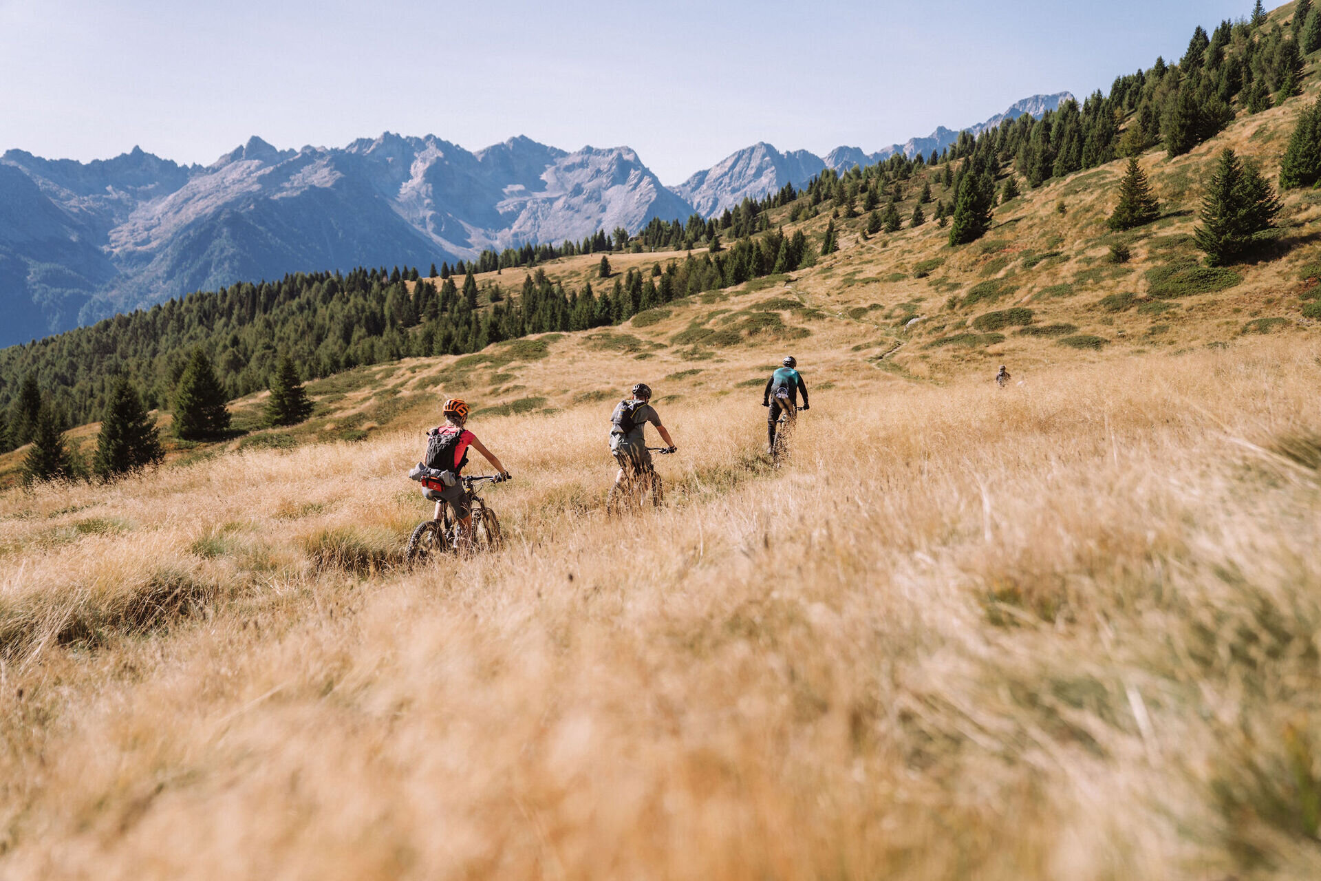Skiarea Sport Shop - Noleggio Bike Marilleva 1400
