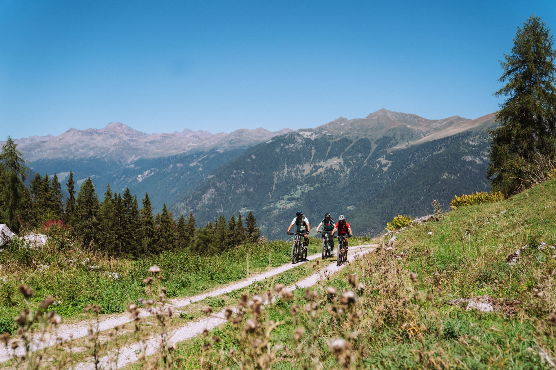 Andreis Archivio APT Val Di Sole WEB Ph Alice Russolo  (28)